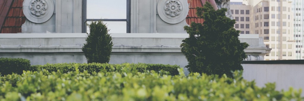 rooftop-garden