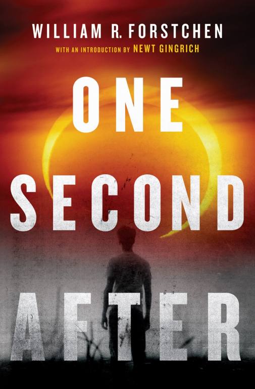 one second after book