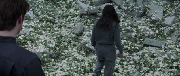 hunger-games-flower-bomb